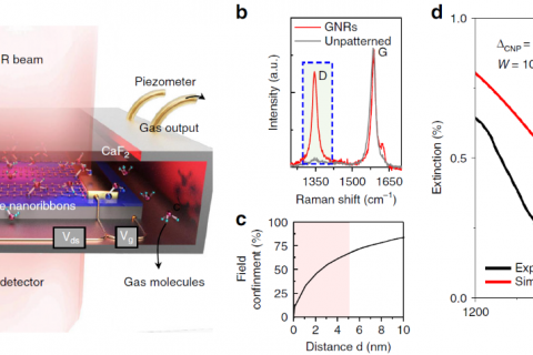 石墨烯新技能：识别气体