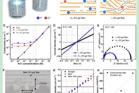 science advances: 用于离子传输的液晶-氧化石墨烯凝胶纤维的动态组装