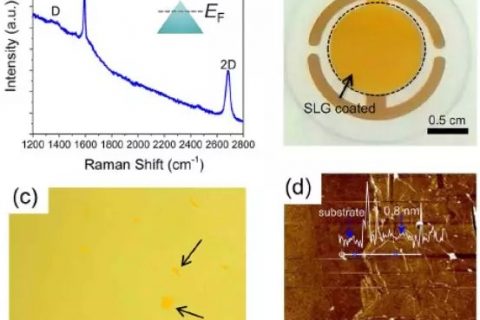 中国科学技术大学yanwu zhu课题组–单层石墨烯在离子液体中的电荷储存机制